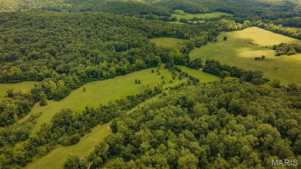 $595,000 | 2164 Wayne 220 B, Silva, MO 63964