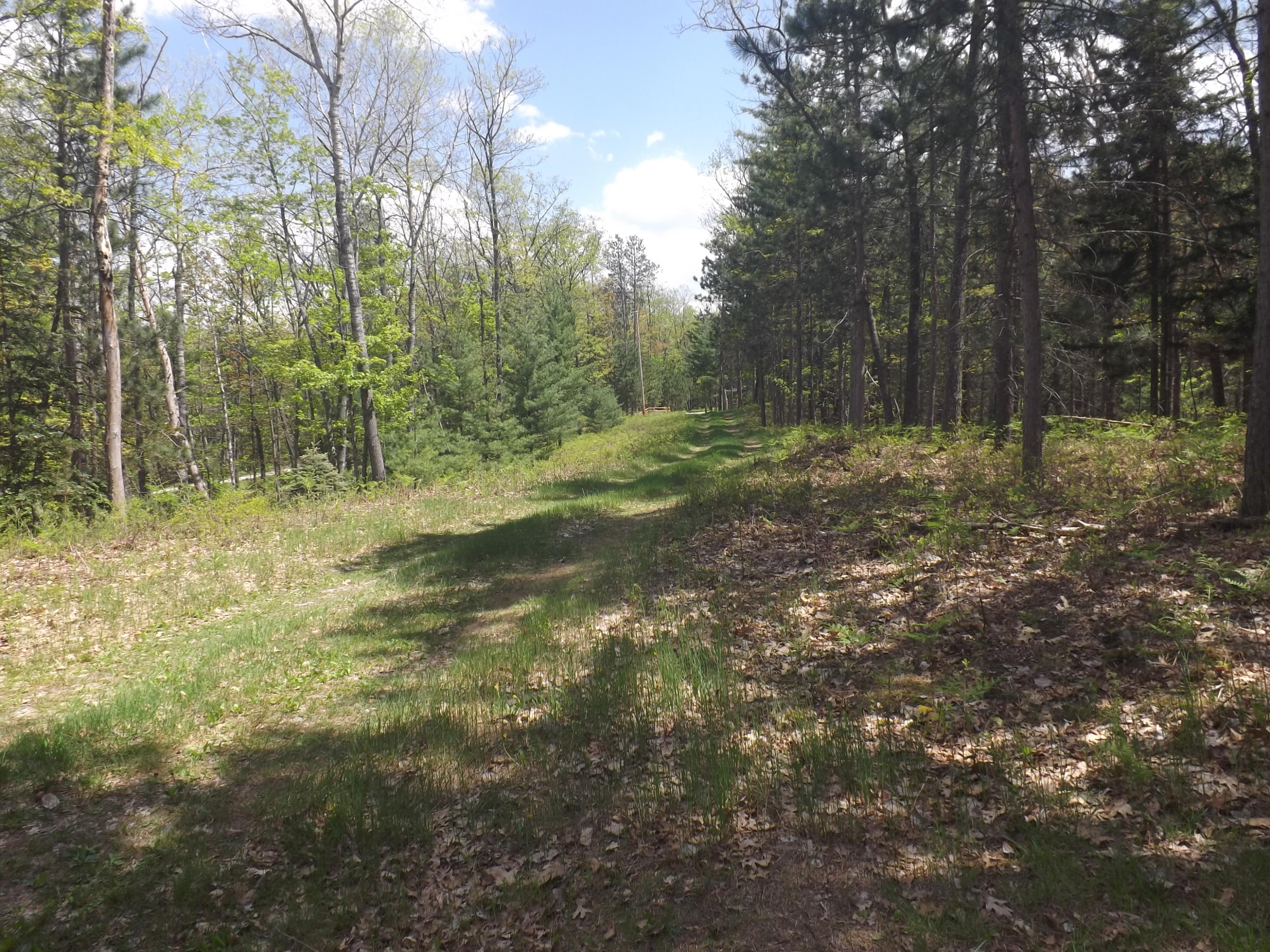 576 Abbott Road Rose City, MI 48654 - Photo 4 of 19 Gallery Image 4