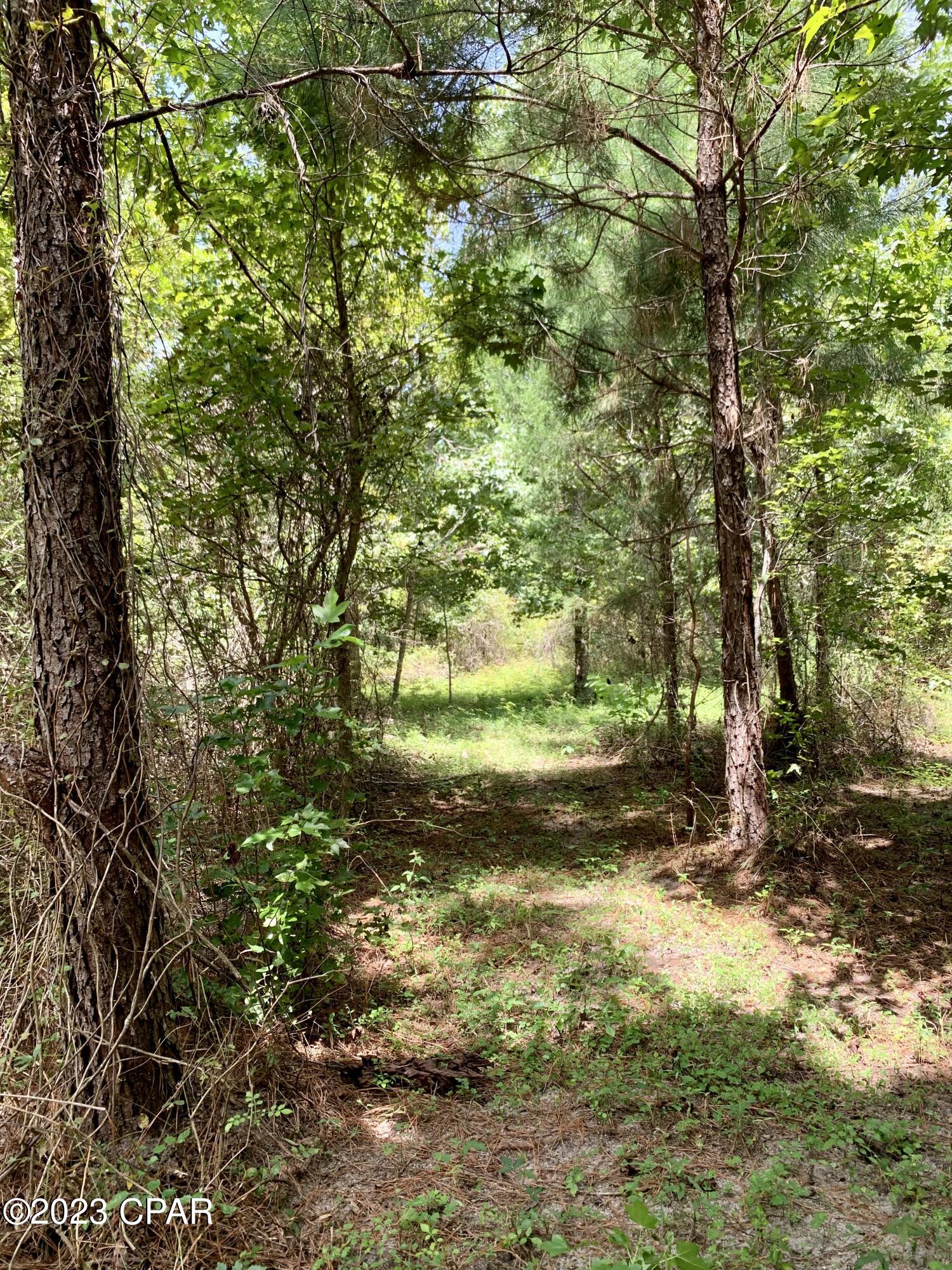 2466 Dilmore Road Cottondale, FL 32431 - Photo 22 of 36