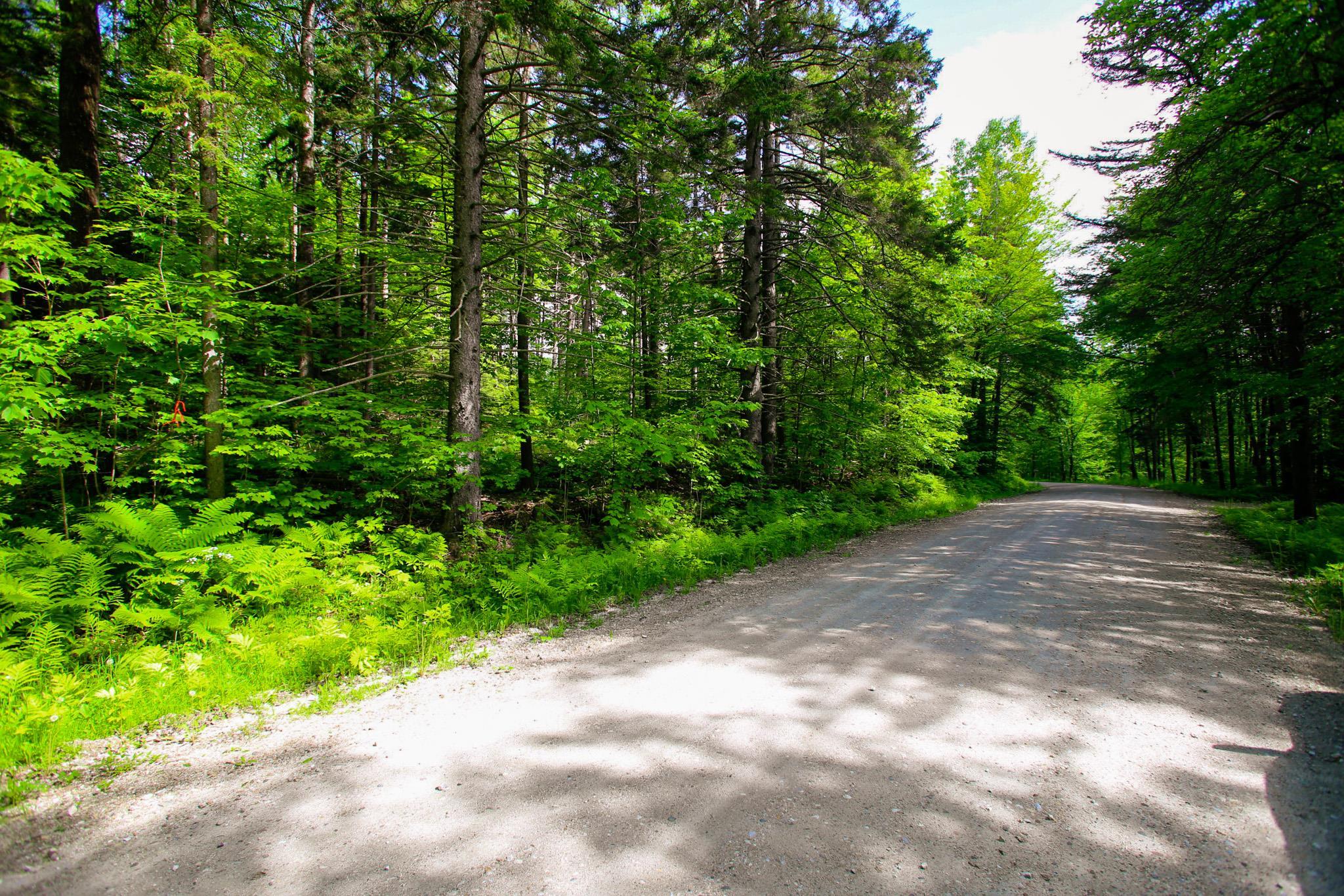 1628 Austin Hill Road Rochester, VT 05767 - Photo 39 of 40
