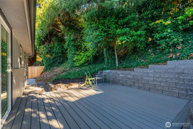 a view of backyard with a patio
