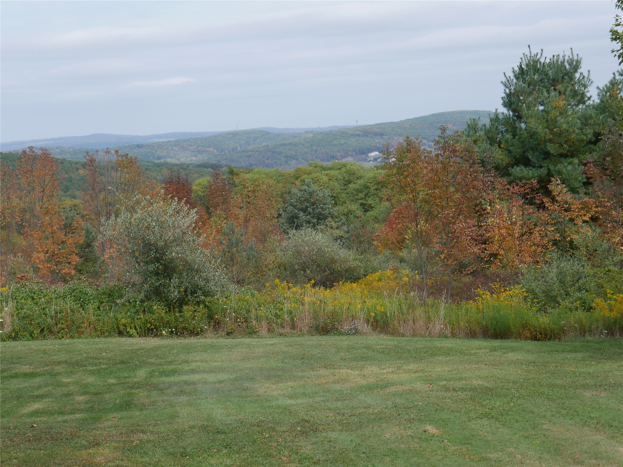 67 West Hill Road Vestal, NY 13850 - Photo 11 of 40