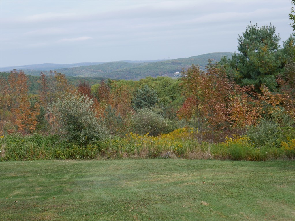 67 West Hill Road Vestal, NY 13850 - Photo 11 of 40