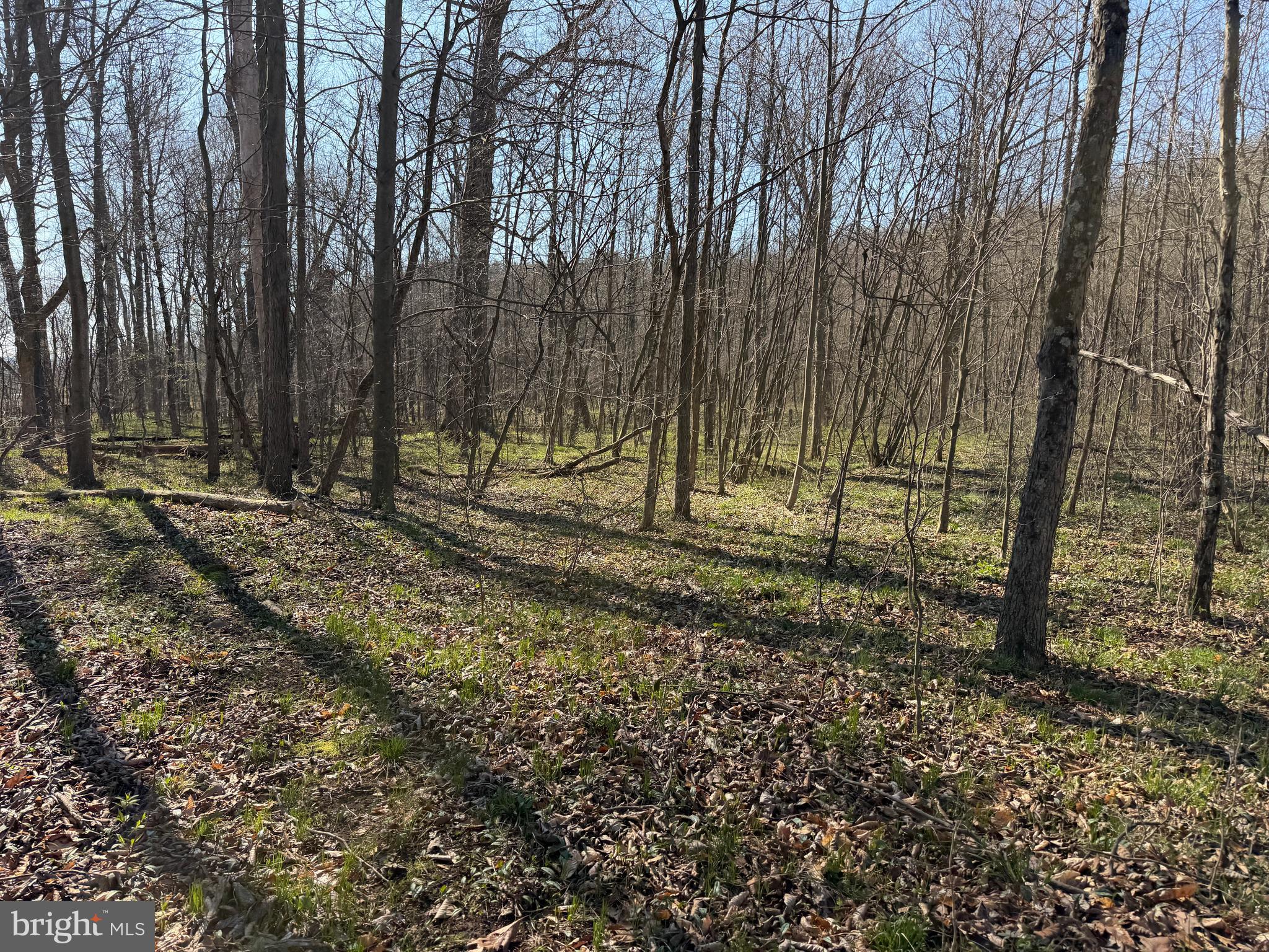 129-acres Black Hollow Road Schellsburg, PA 15559 - Photo 24 of 72 a view of backyard with green space