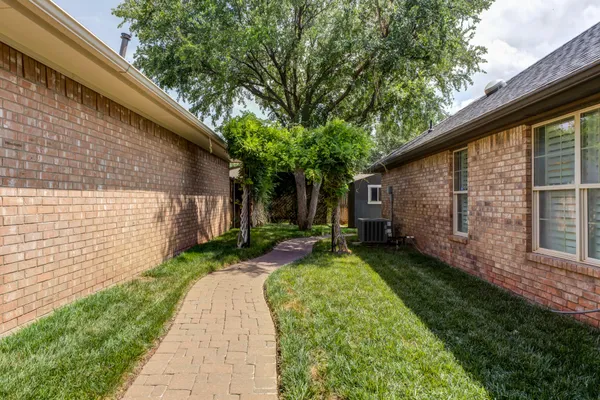 a view of a backyard with plants and large tree