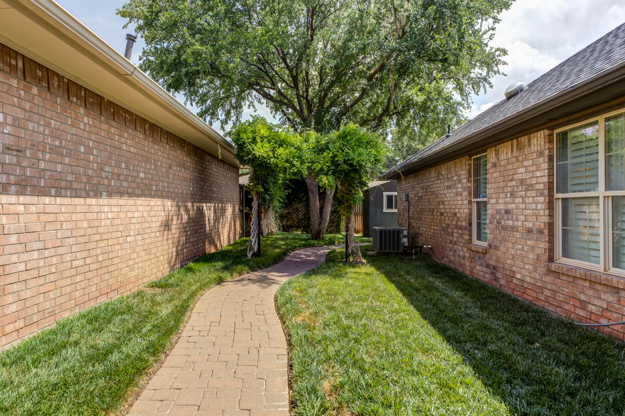 6005 83rd Street Lubbock, TX 79424 - Photo 41 of 47 a view of a backyard with plants and large tree