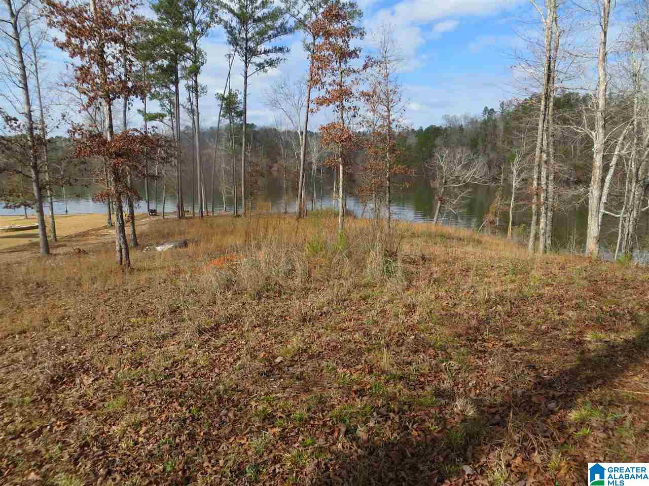 Lot 9 Eagle Mountain Road, Unit 9 Alexander City, AL 35010 - Photo 7 of 13