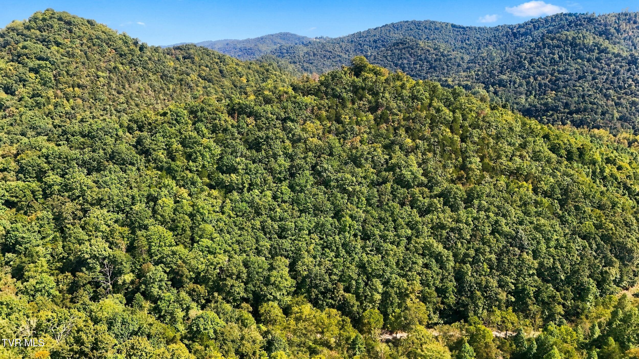 2918 Copper Creek Road Duffield, VA 24244 - Photo 13 of 31 dji_20260915152309_0805_d