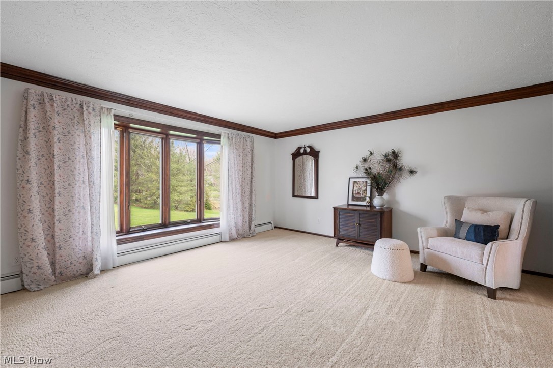 10889 Wilson Mills Road Chardon, OH 44024 - Photo 3 of 50