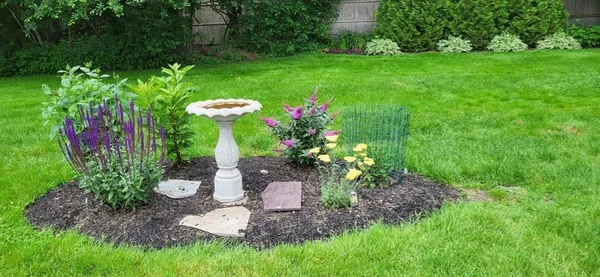 a view of a garden with a fountain