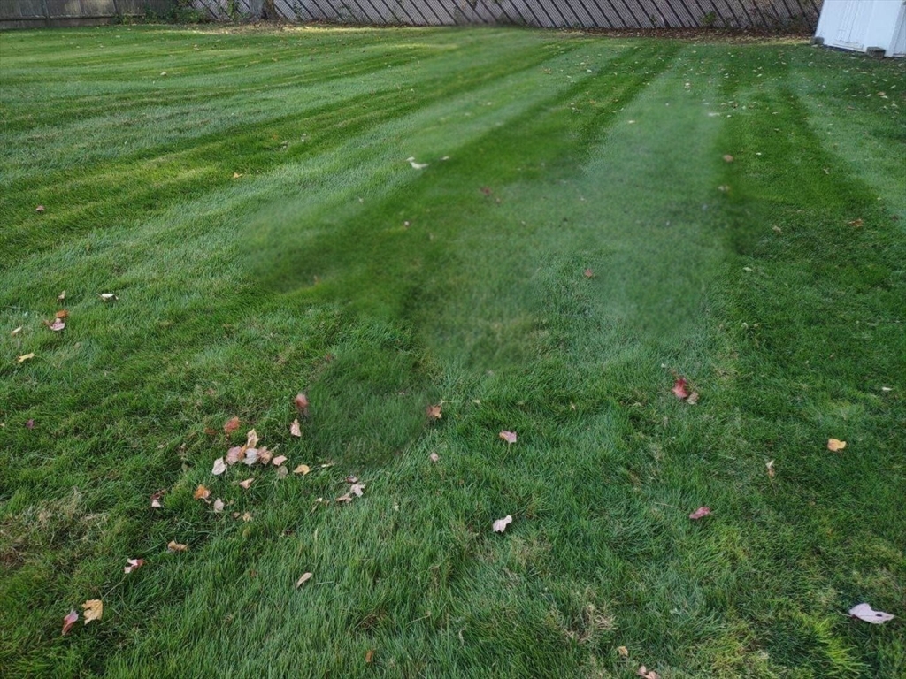 12 Tulane Road Danvers, MA 01923 - Photo 5 of 25 a view of a backyard