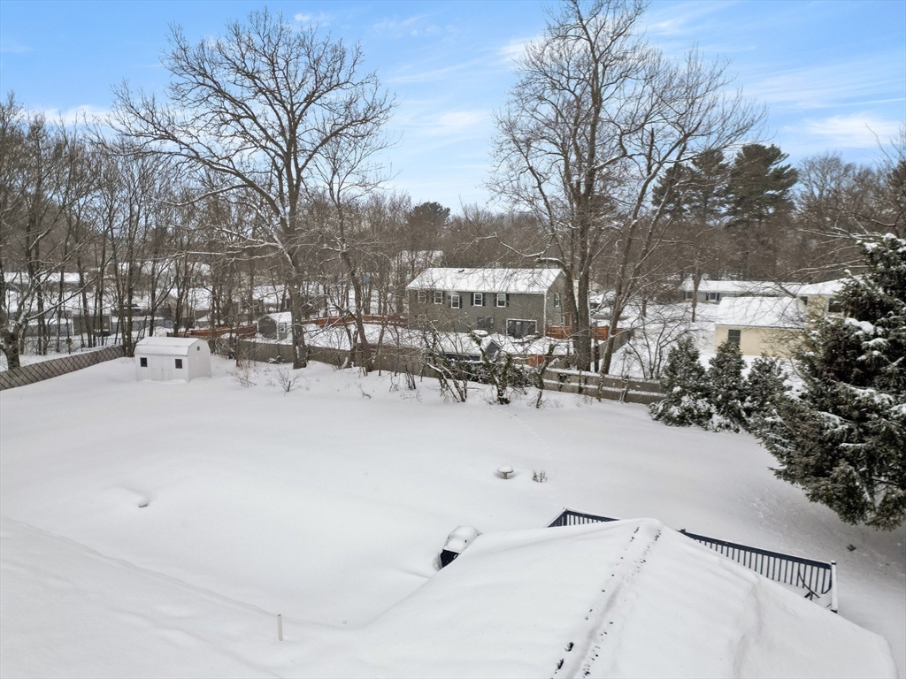 12 Tulane Road Danvers, MA 01923 - Photo 7 of 25 a view of outdoor space yard and tree