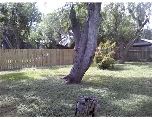 a view of backyard with tree