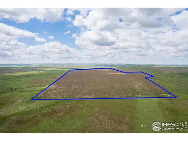 a view of outdoor space and entertaining space