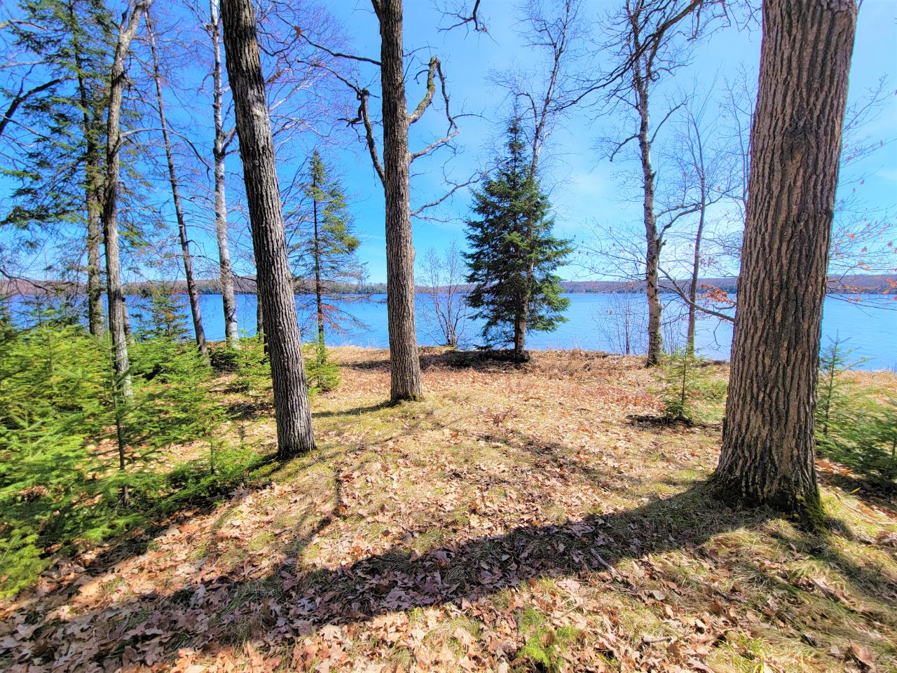 Off Simpson Road, Unit ISLAND Phelps, WI 54554 - Photo 27 of 31 Gallery Image 27