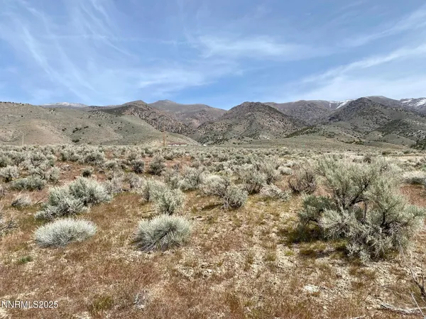 a view of a dry field with mountains in the background