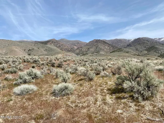 a view of a dry field with mountains in the background