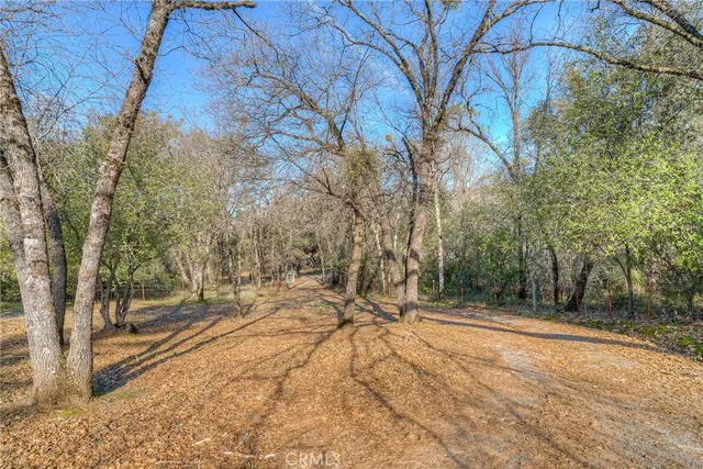 a view of backyard with green space