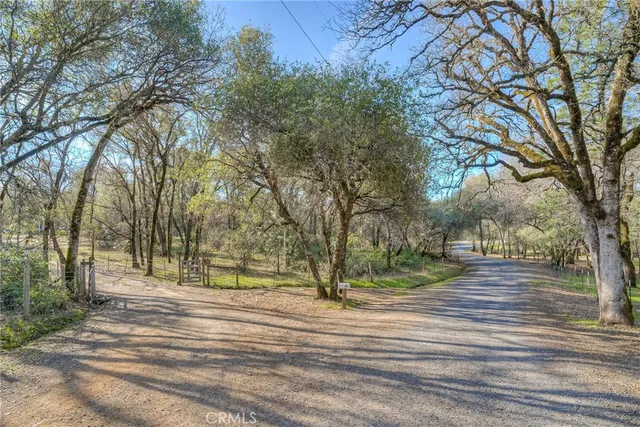 a view of a yard with large trees