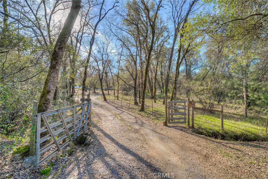 15 Hide A Way Road Oroville, CA 95966 - Photo 42 of 63 a view of a yard with plants and trees