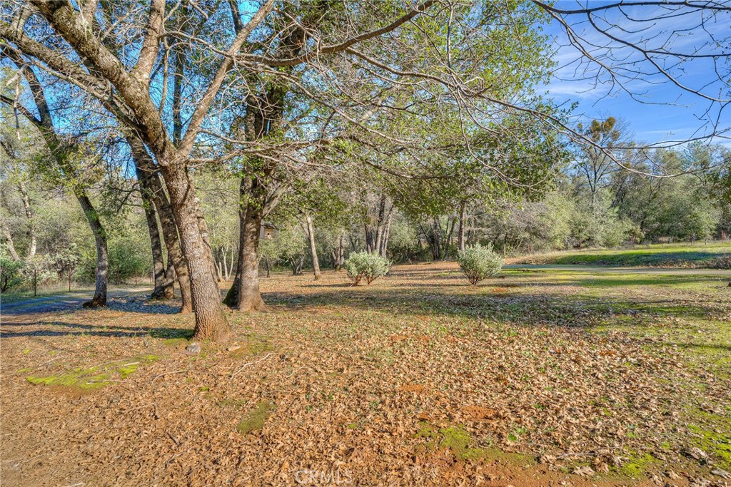 15 Hide A Way Road Oroville, CA 95966 - Photo 44 of 63 a view of a yard with a tree