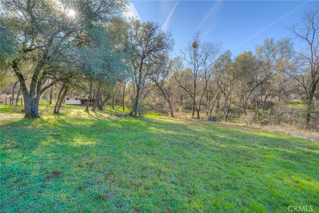 15 Hide A Way Road Oroville, CA 95966 - Photo 50 of 63 a view of backyard with green space