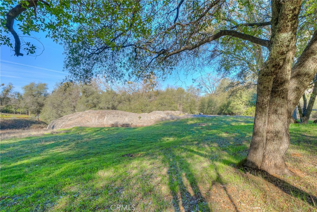 15 Hide A Way Road Oroville, CA 95966 - Photo 51 of 63 a view of a yard with large trees