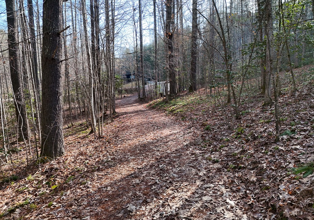 866 Rockridge Road Murphy, NC 28906 - Photo 43 of 46