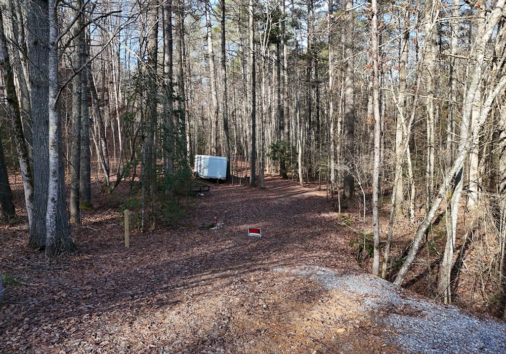 866 Rockridge Road Murphy, NC 28906 - Photo 45 of 46