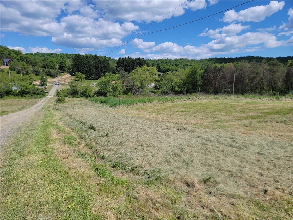 3269 Pine Run Road Mayport, PA 16240 - Photo 21 of 22