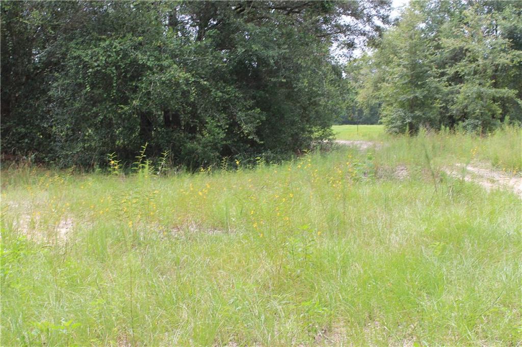 0 Delft Place Spring Hill, FL 34610 - Photo 1 of 1 Gallery Image 1