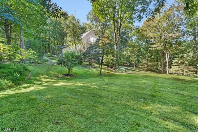 a view of park with trees