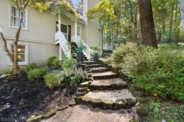 a view of a garden with plants