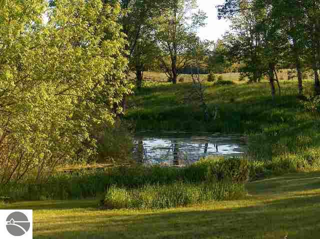 9100 Townline Road Kingsley, MI 49649 - Photo 3 of 9 1685042-2.JPG