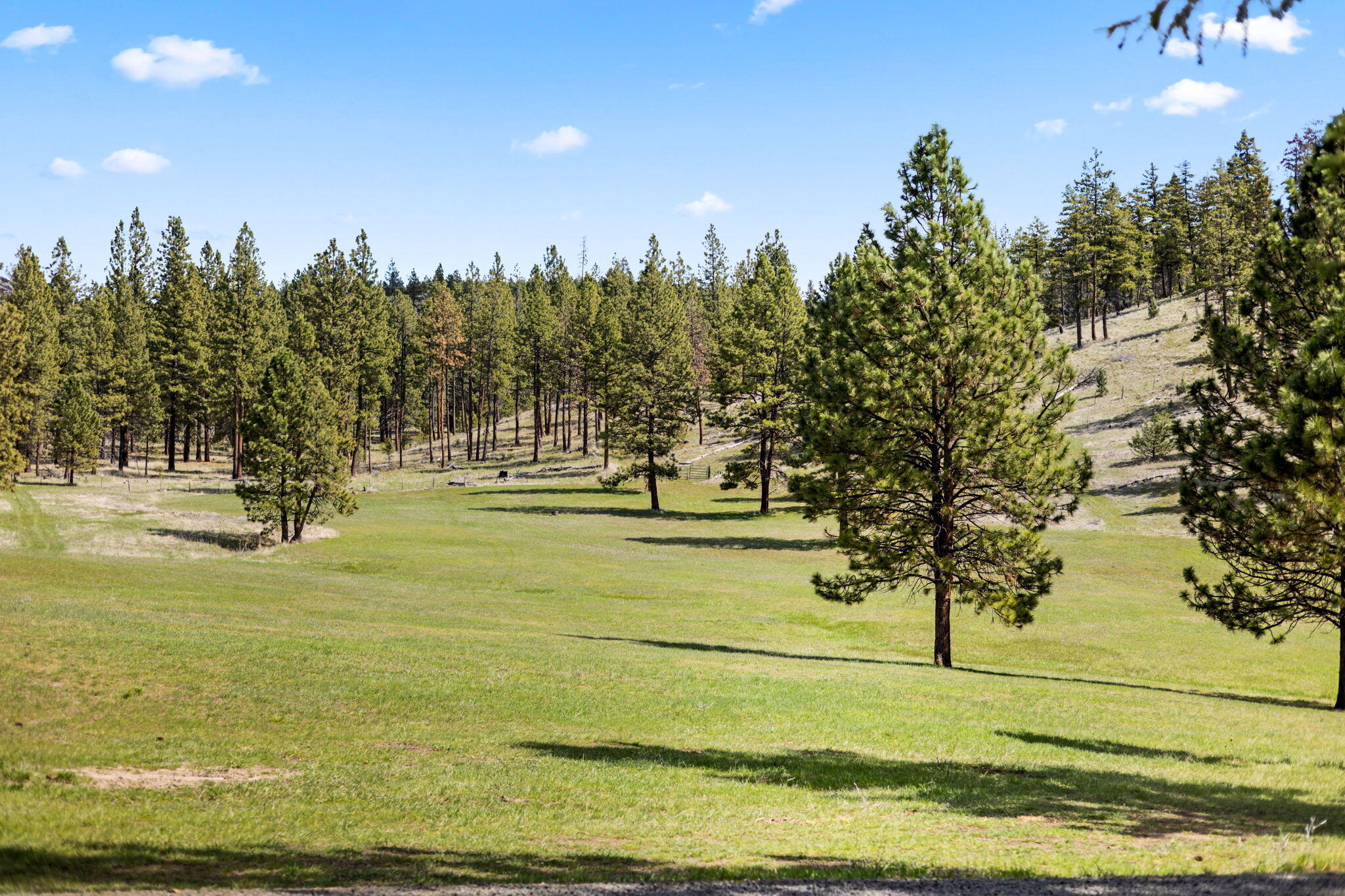 44765 Alder Creek Road Fossil, OR 97830 - Photo 36 of 67 4-web-or-mls-Fossil Property (4 of 51)