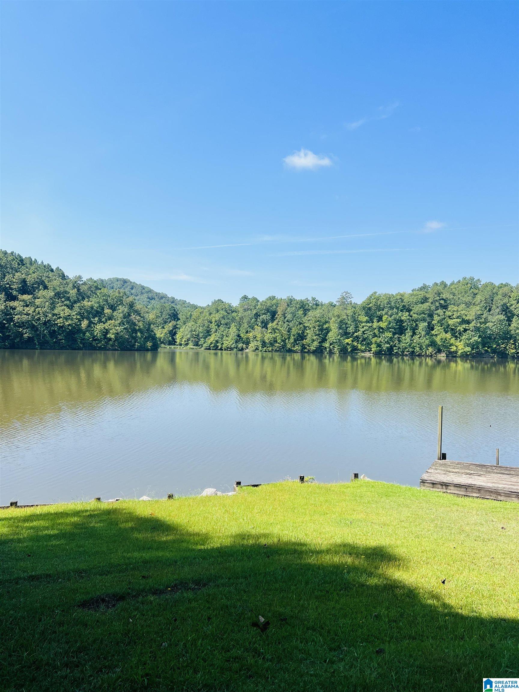 3494 River Ranch Road Ragland, AL 35131 - Photo 45 of 45