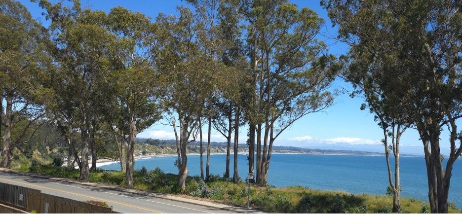 an outdoor space with trees