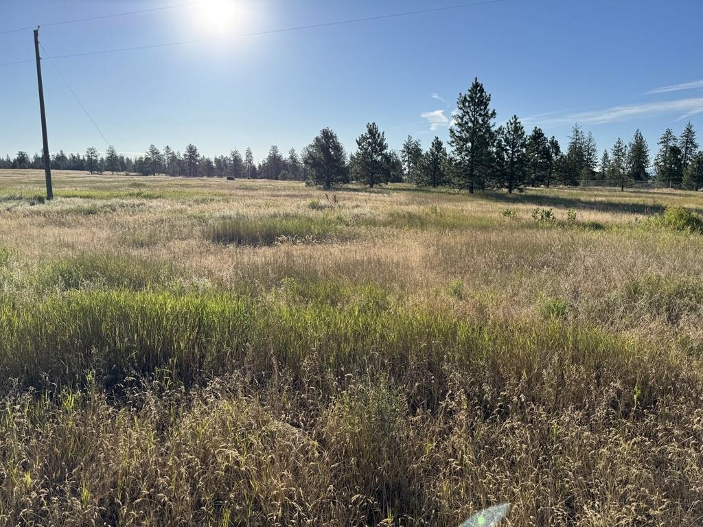 0 South Hayford Road Spokane, WA 99224 - Photo 12 of 20