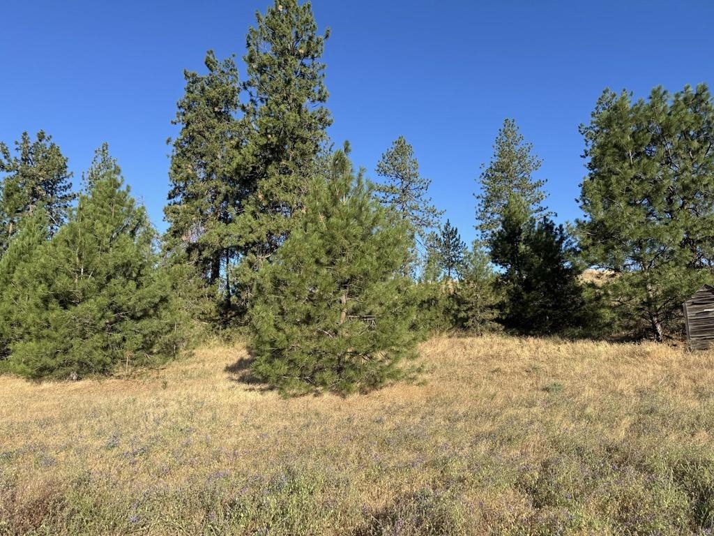 0 South Hayford Road Spokane, WA 99224 - Photo 14 of 20