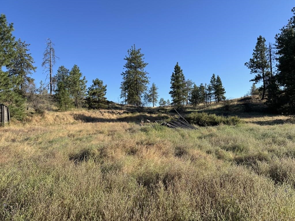 0 South Hayford Road Spokane, WA 99224 - Photo 15 of 20