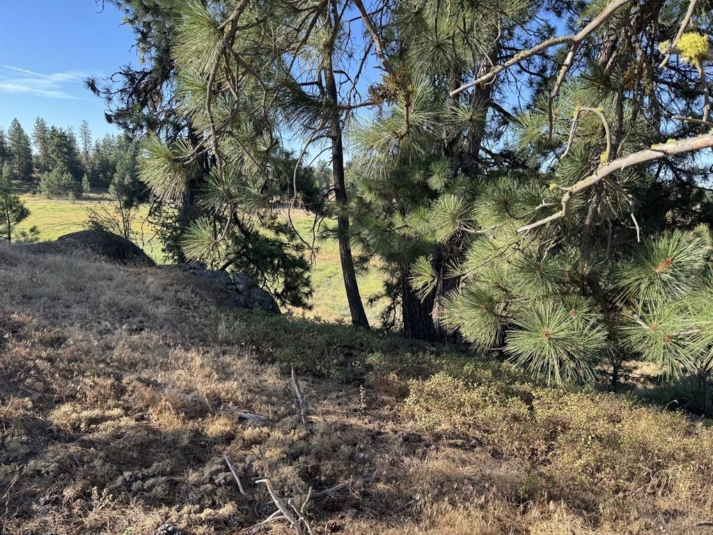 0 South Hayford Road Spokane, WA 99224 - Photo 17 of 20