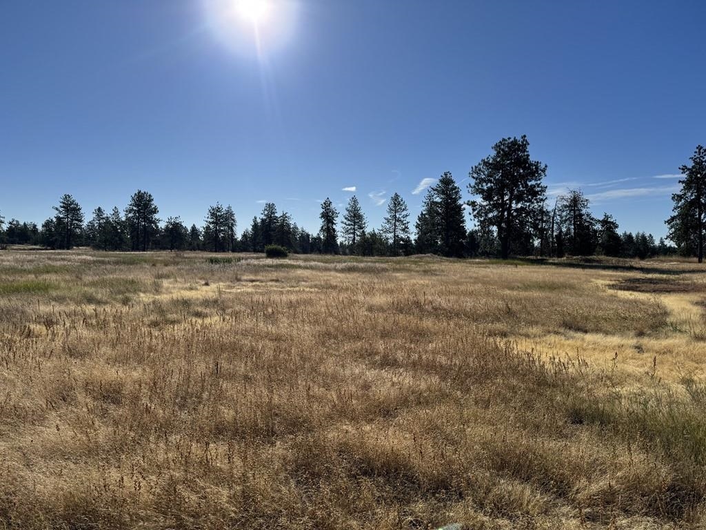 0 South Hayford Road Spokane, WA 99224 - Photo 18 of 20