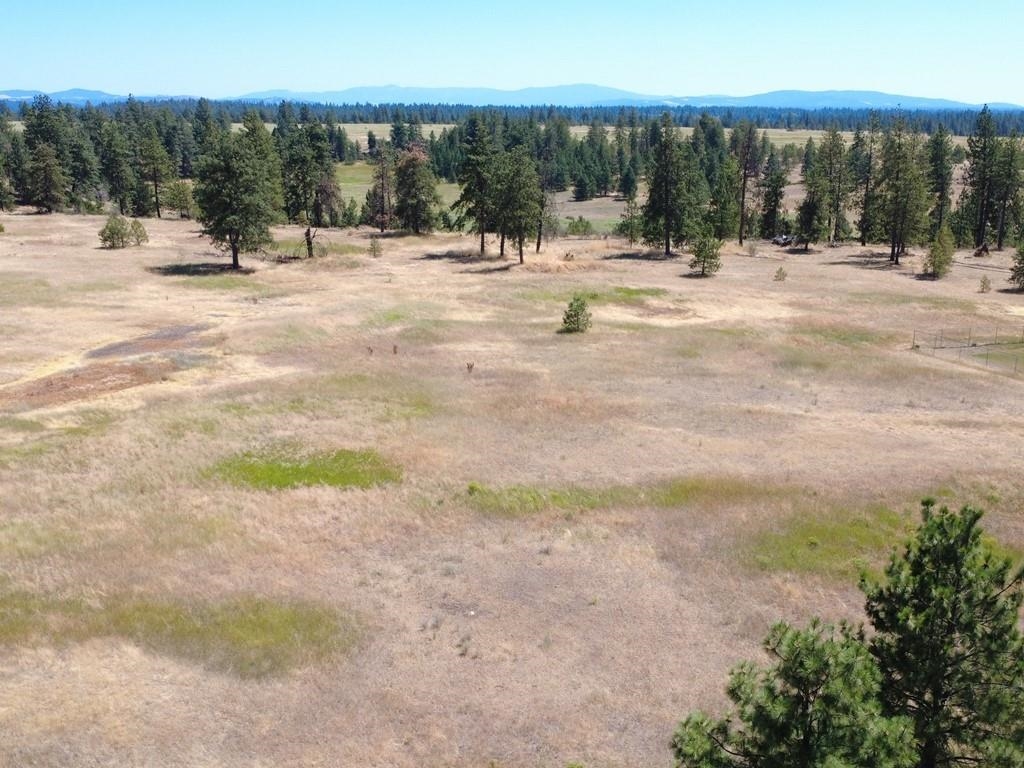 0 South Hayford Road Spokane, WA 99224 - Photo 6 of 20