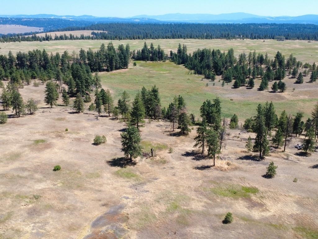 0 South Hayford Road Spokane, WA 99224 - Photo 9 of 20