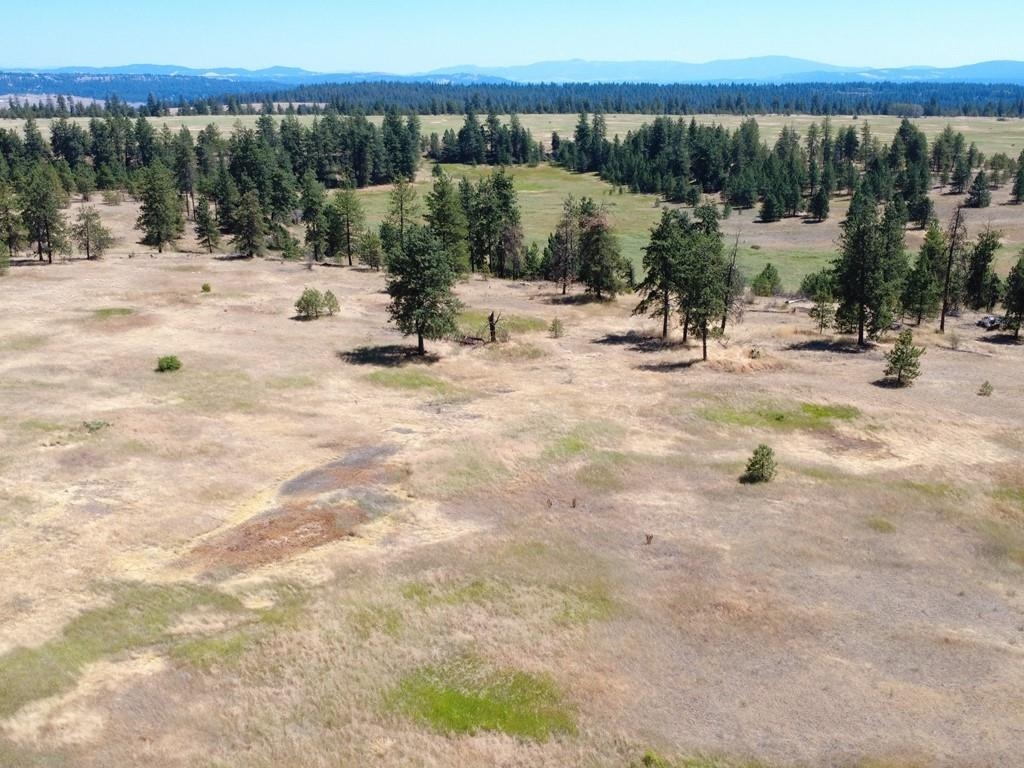 0 South Hayford Road Spokane, WA 99224 - Photo 10 of 20