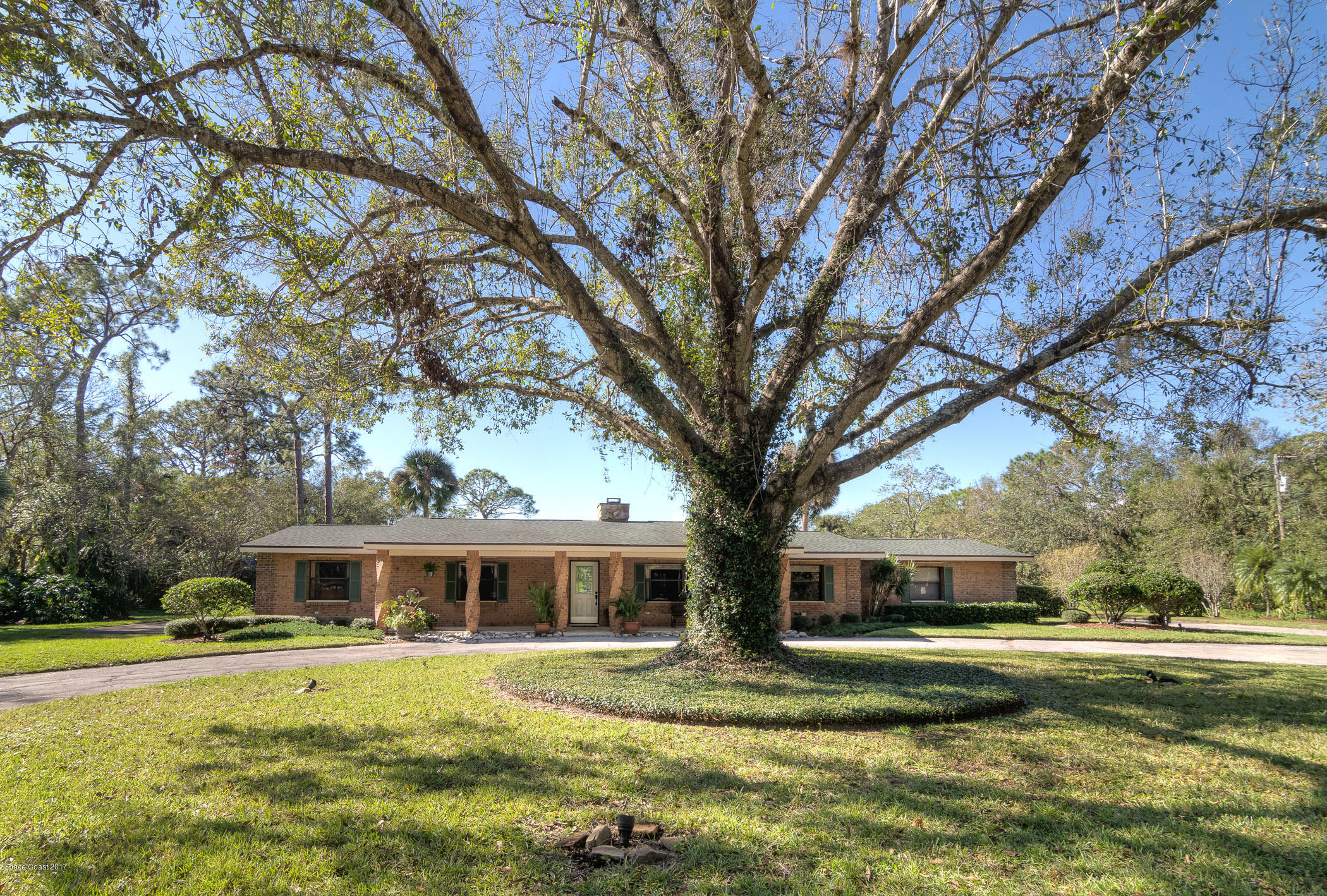 2500 Turtle Mound Road Melbourne, FL 32934 - Photo 7 of 43 2500 Turtle Mound Rd