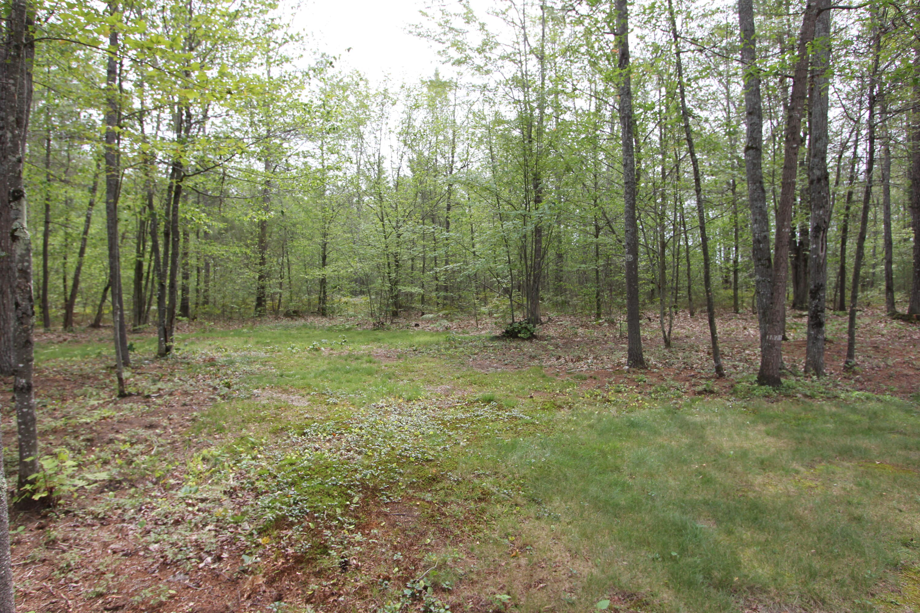 23 River Road Canton, ME 04221 - Photo 6 of 41 scenery