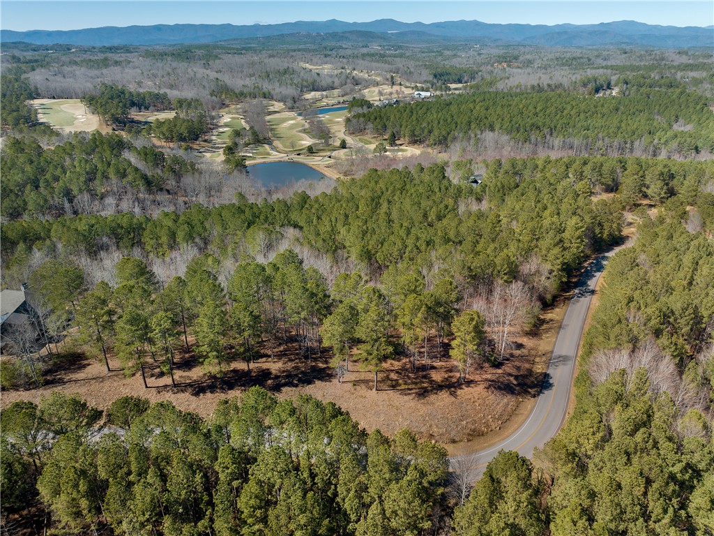 Lot 60 Cliffs South Pkwy  