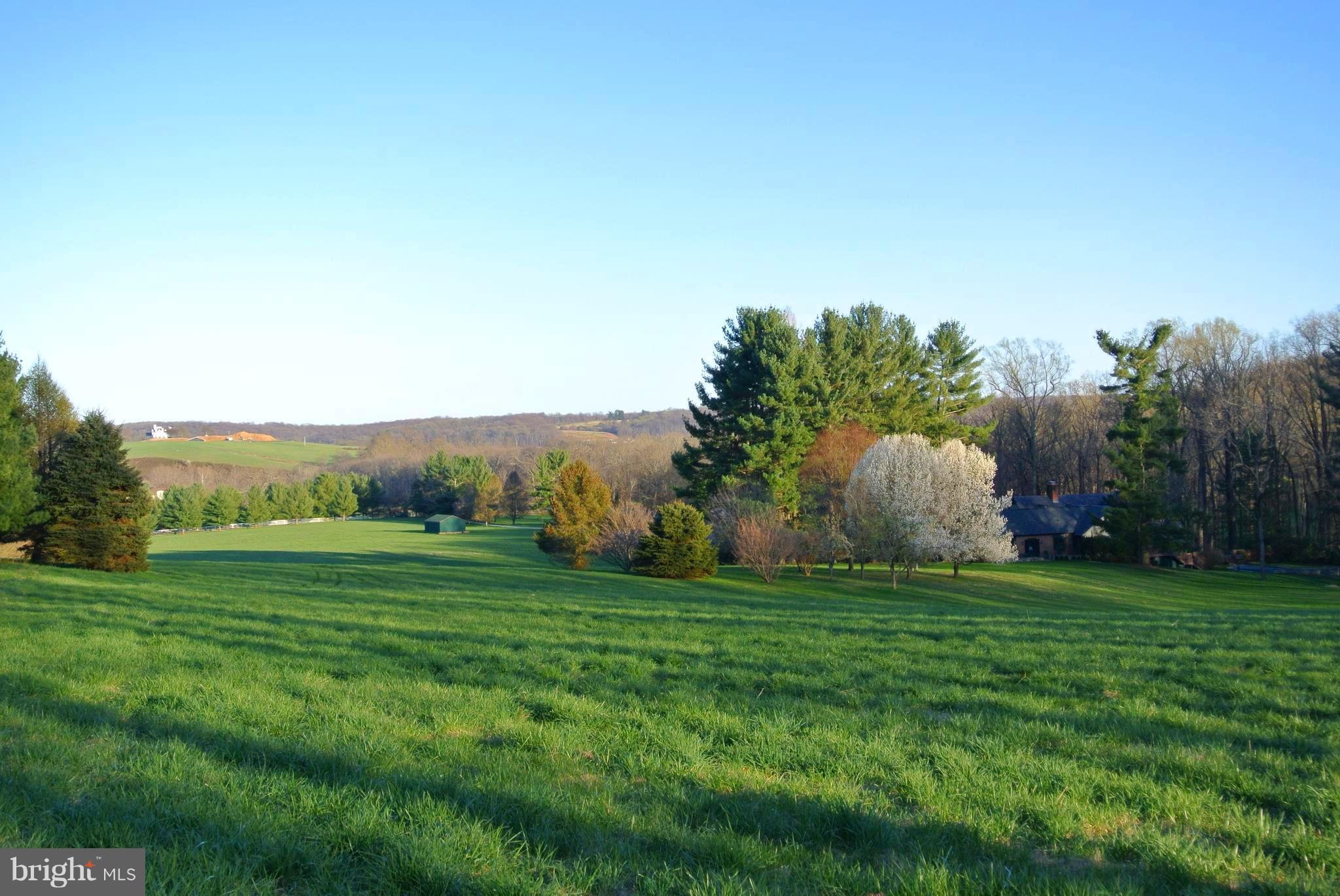 3864 Butler Road Reisterstown, MD 21136 - Photo 1 of 24 a view of a grassy field with trees