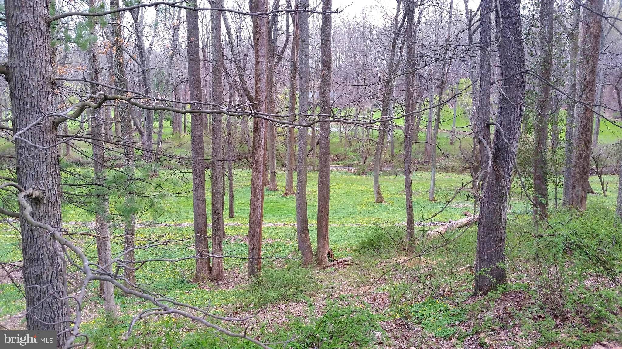3864 Butler Road Reisterstown, MD 21136 - Photo 3 of 24 a garden view with a backyard space